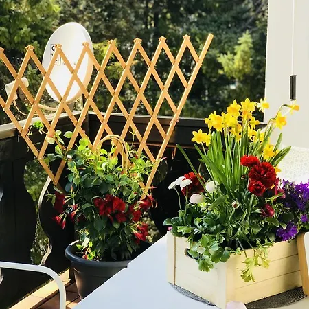 ماونتين هوم غارميش شقة