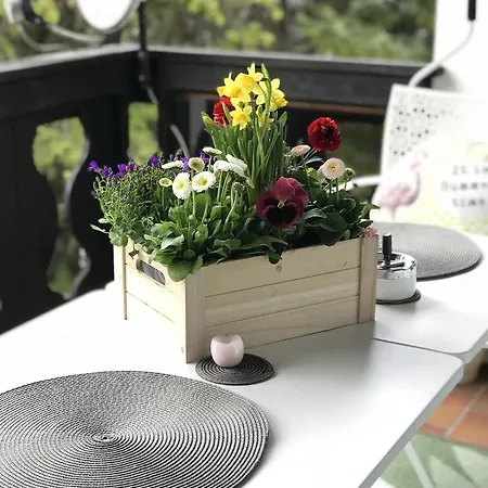 Apartment Mountain *